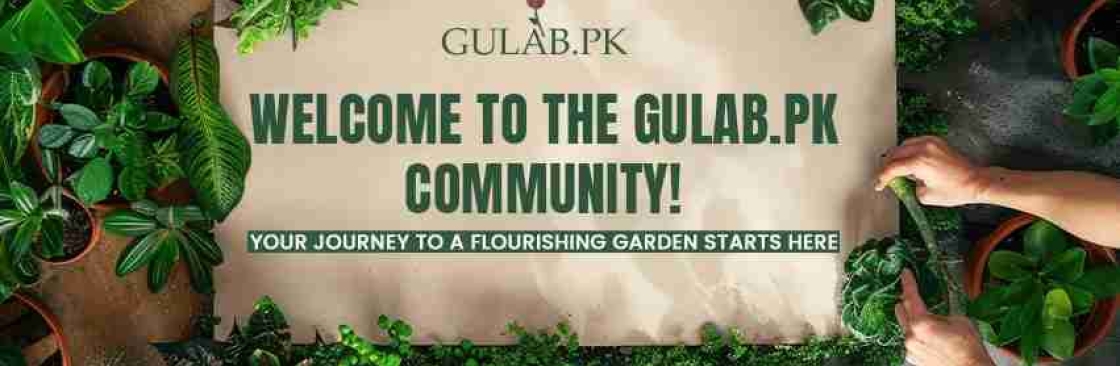 Gulab PK Cover Image