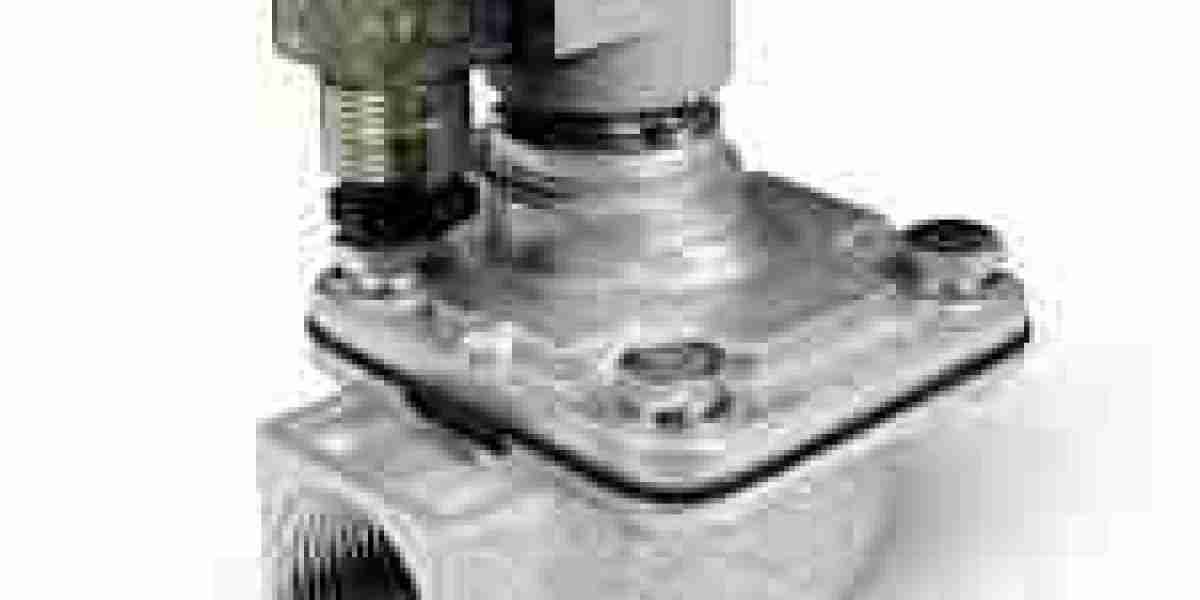 Advanced Engineering Design in Pulse Valve Technology