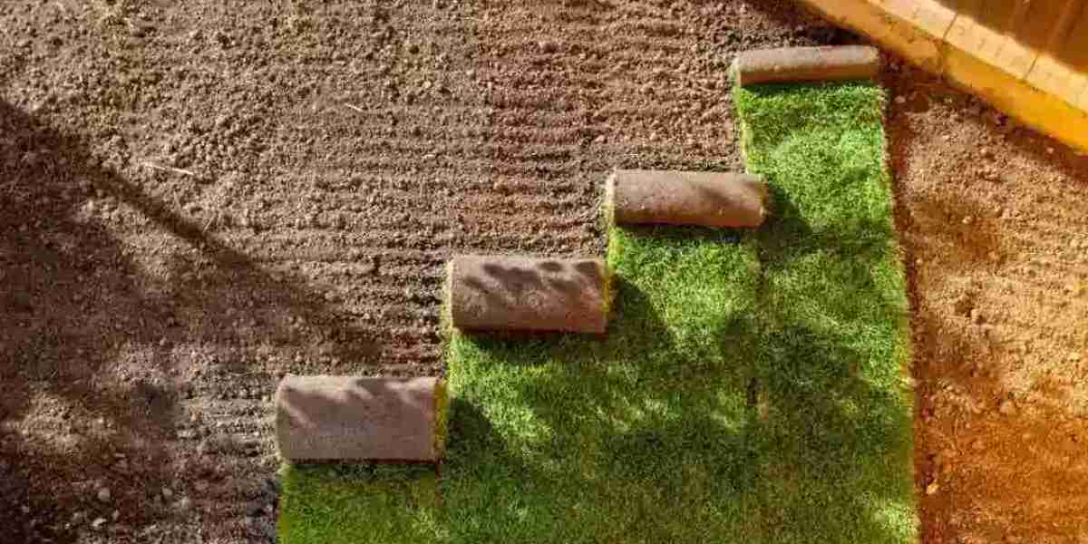 How to Choose High-Quality Buffalo Turf Sydney for Long-Lasting Results