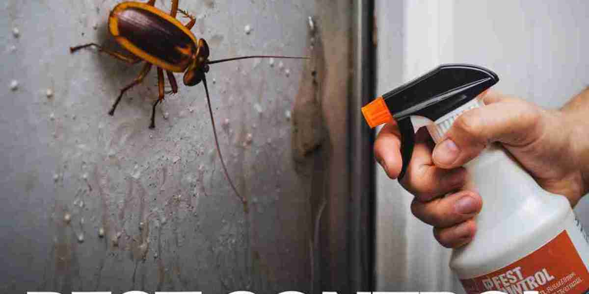 Lockhart Pest Control: Keeping Homes Safe from Common Household Pests