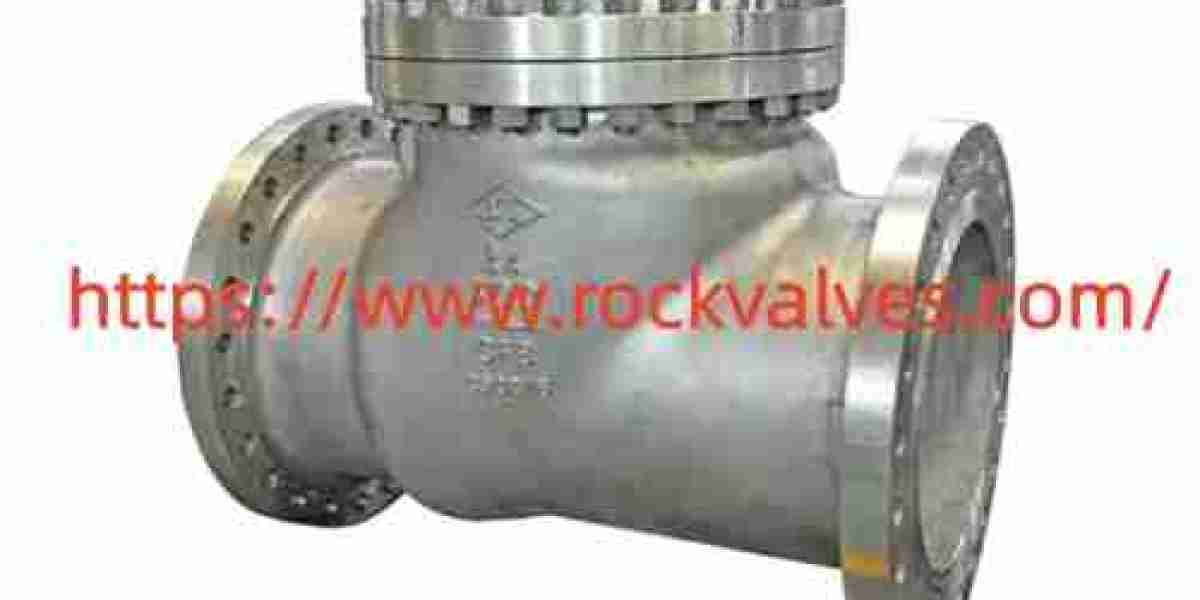 How Can Rockvalves Swing Check Valve for Water Treatment Support Projects