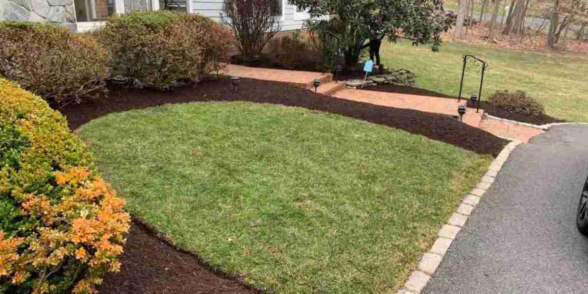 How Can Yard Waste Removal in Ashburn Improve Your Property?