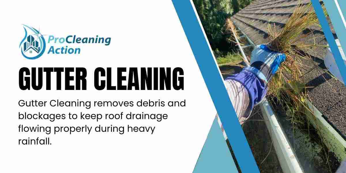How Can Pro Cleaning Action Improve Exterior Cleaning?
