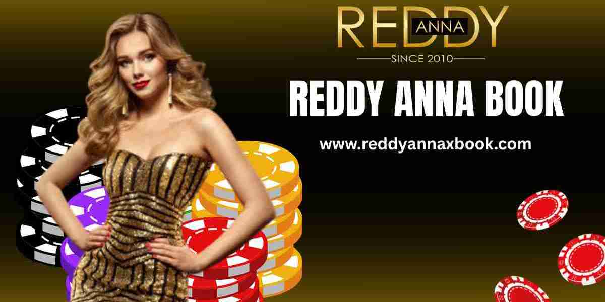 How Reddy Anna Book Continues to Improve Through User-Friendly Features