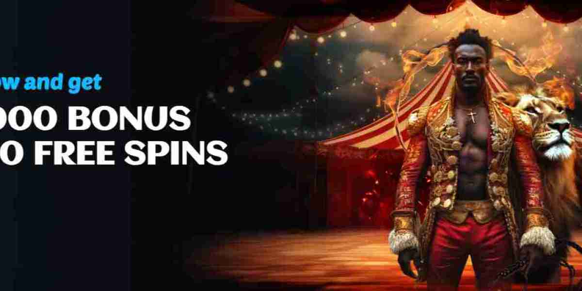 Spinsup New Zealand Online Slots Offering Modern Features