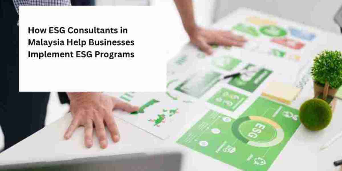 How ESG Consultants in Malaysia Help Businesses Implement ESG Programs