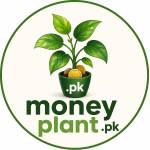 money plant profile picture