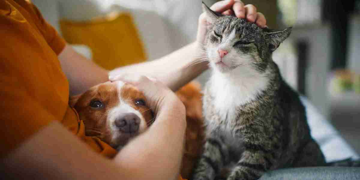 Pet Funeral Crematorium in Essex: What to Expect When Saying Goodbye to Your Dog or Cat