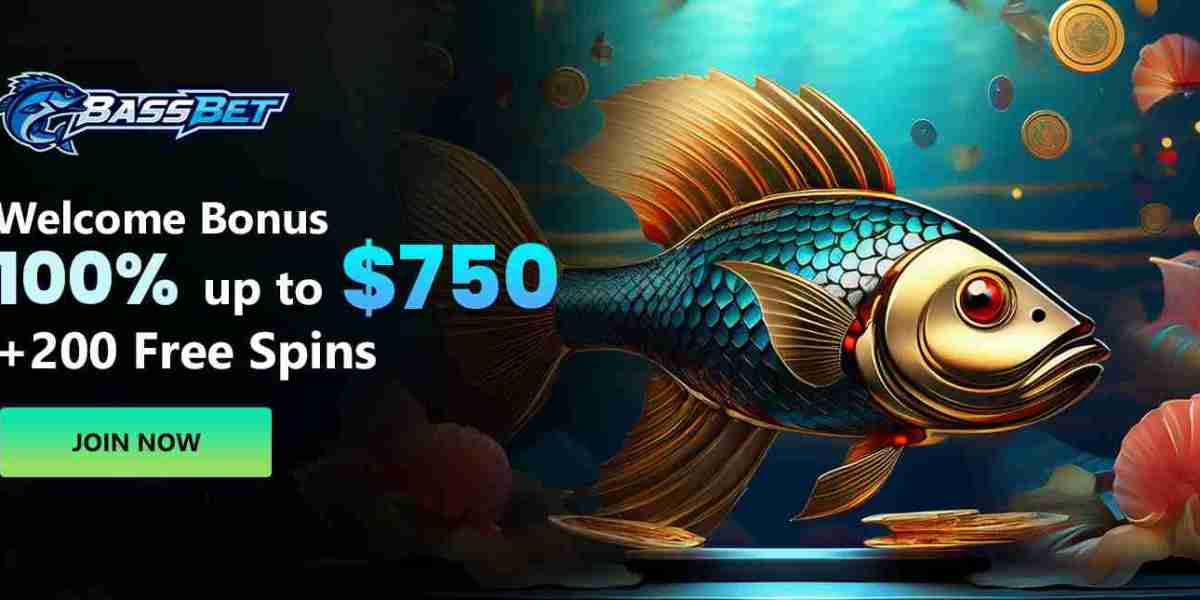 Bassbet Casino Helped Me Choose Better Games in Canada