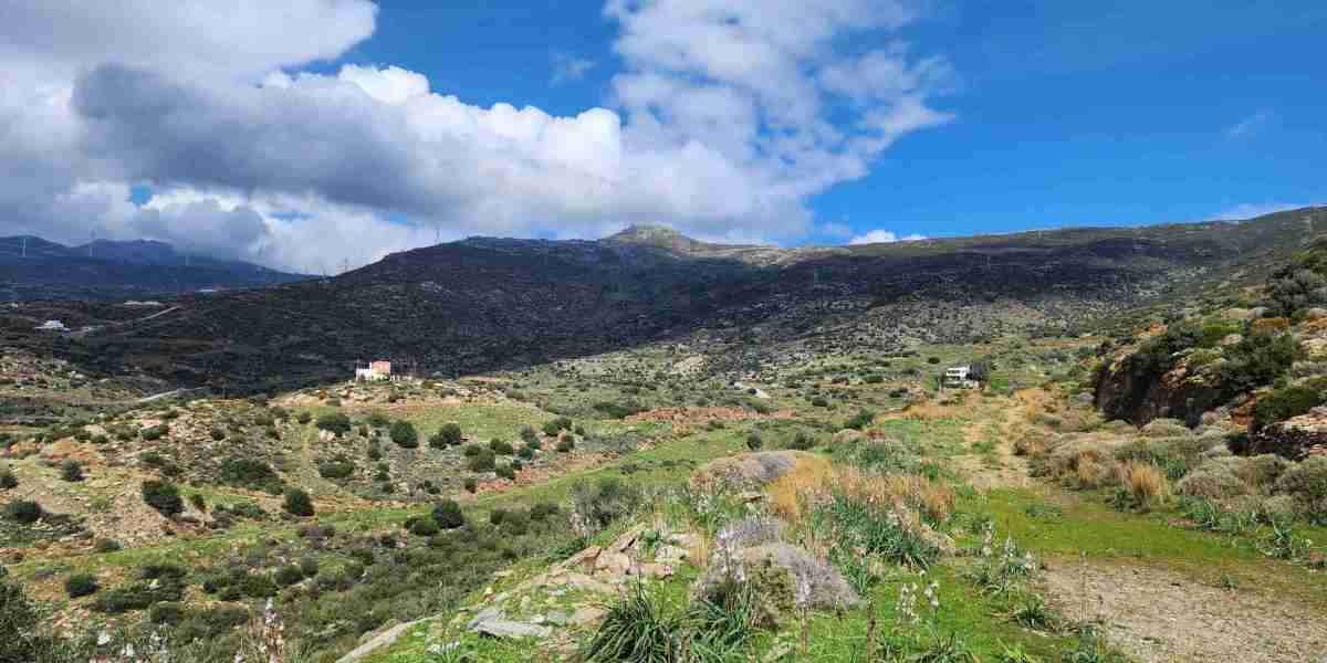 From Seaside Villas to Modern Homes: Exploring Euboea Greece Property(נכס אבויה יוון)