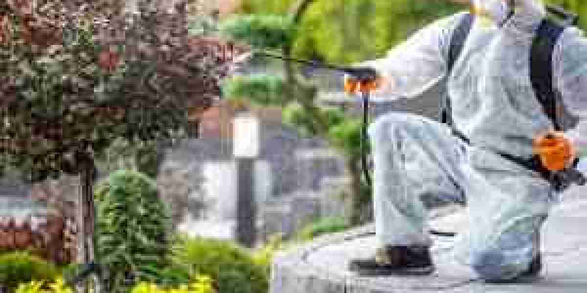 Pesticide Control Service Near Me and Lawn Care Guide