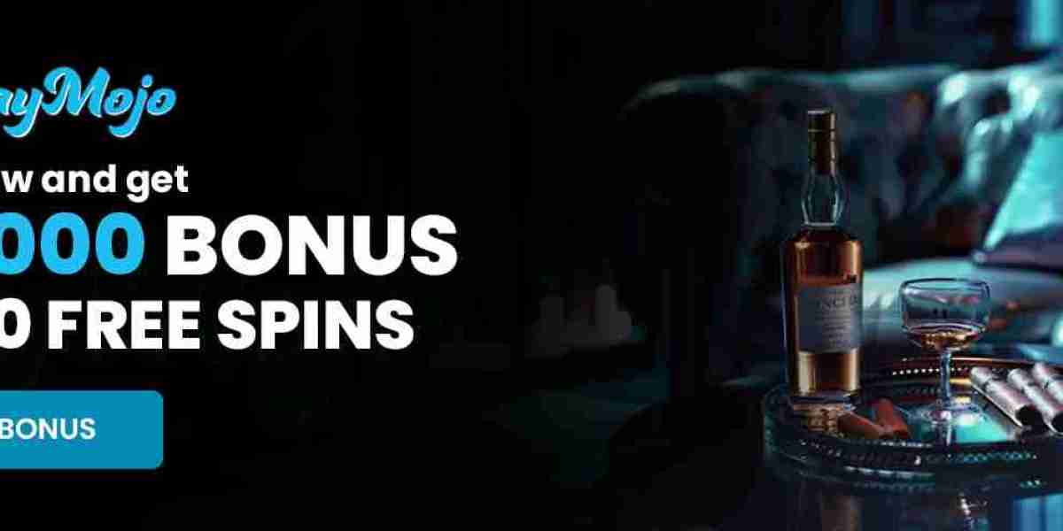 Modern New Zealand Digital Platforms Built for Speed and Simplicity with casino playmojo