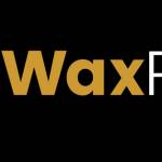Wax Papers profile picture