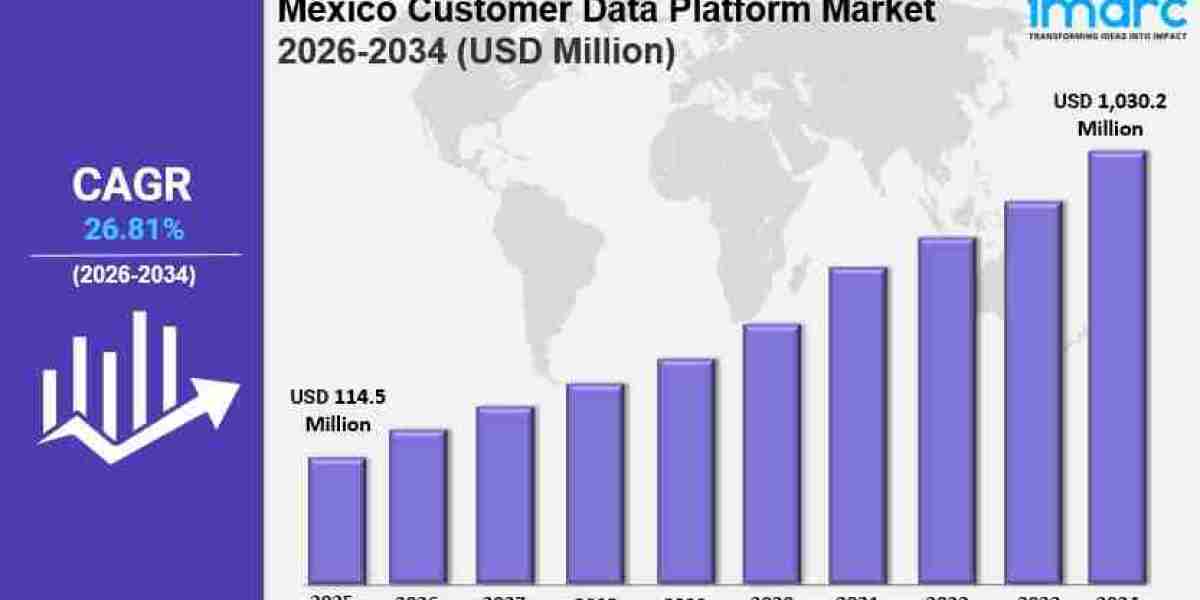 Mexico Customer Data Platform Market Size Growth, Industry Trends Report 2034