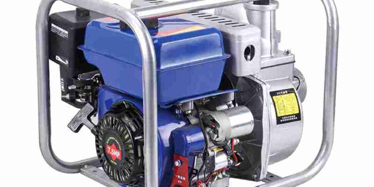 What Affects a Gasoline Engine Water Pump Seal Life?
