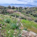 Greece Invests Profile Picture