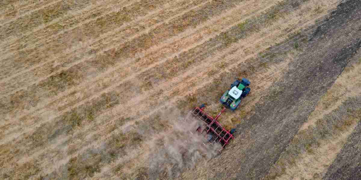 Cotton Seed for Sowing Market Outlook: Innovation in Modern Cotton Farming