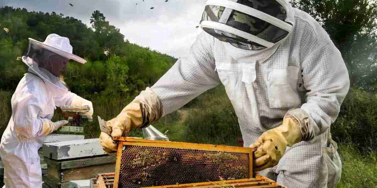 What to Know About Safe Bee Removal and Relocation