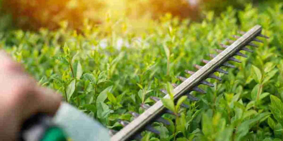Why Professional Lawn Aeration Is Essential for a Healthy, Beautiful Lawn