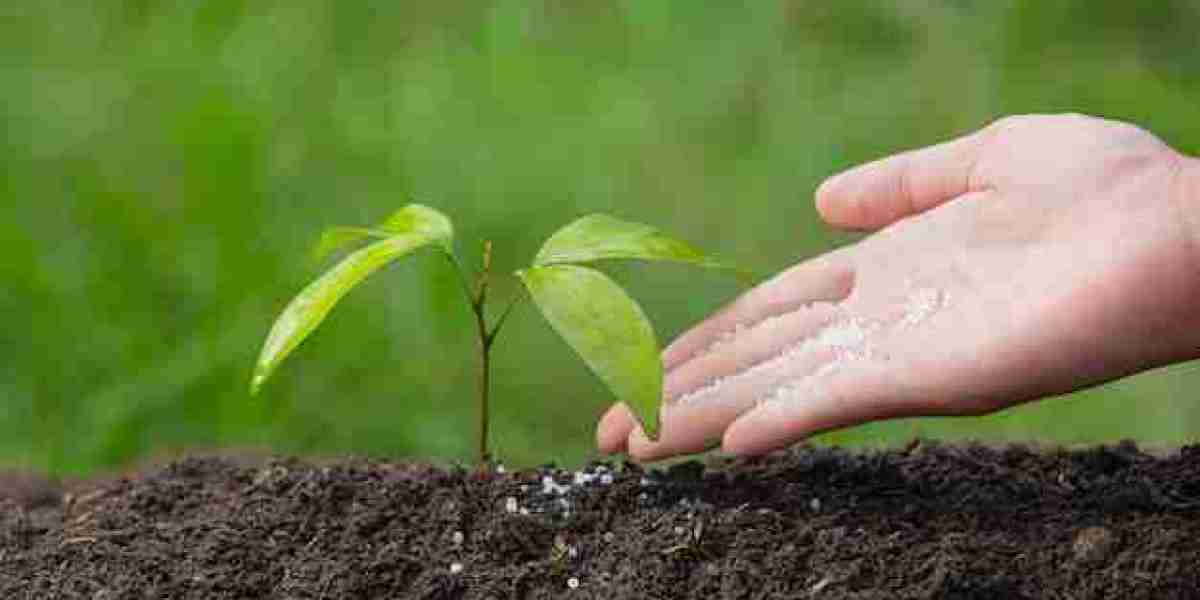 Silicon Fertilizers Strengthen Crop Resilience Across North American Agriculture