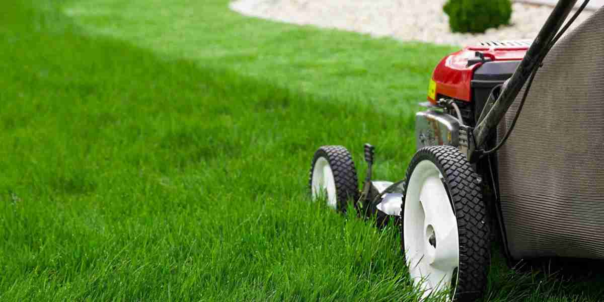 Create Your Dream Backyard With Luxury Outdoor Living Landscape Design