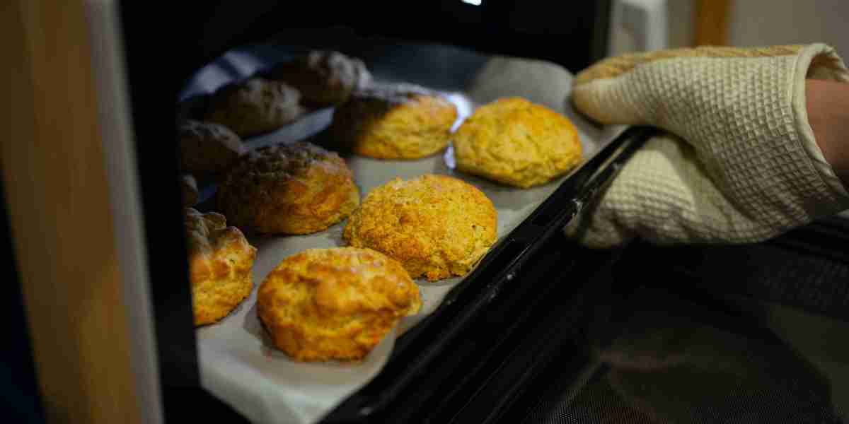 Built-In Steam Oven Market Growth Driven by Smart Cooking Innovations