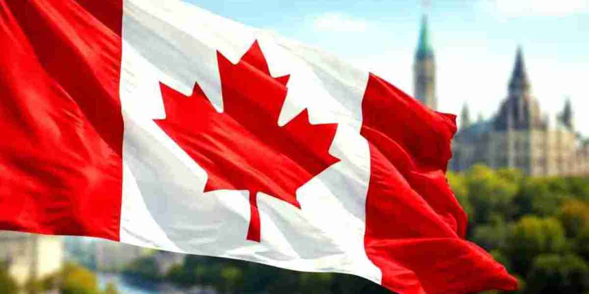 Canada Visit Visa Agents in Delhi: Complete Guide to Canada
