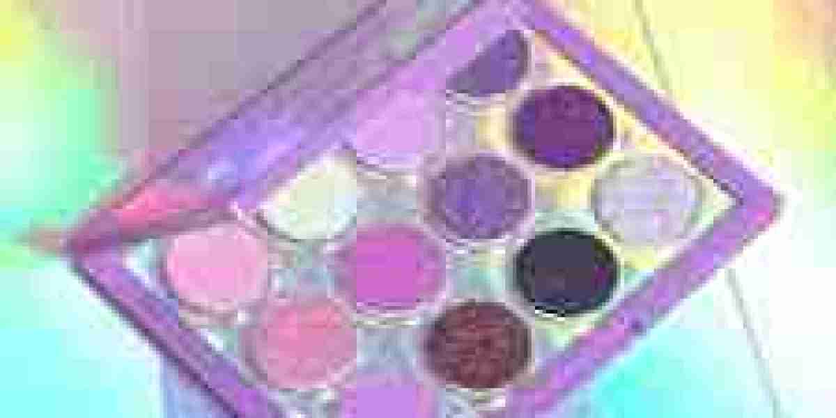 Can a Makeup Palette Simplify Your Everyday Beauty Routine