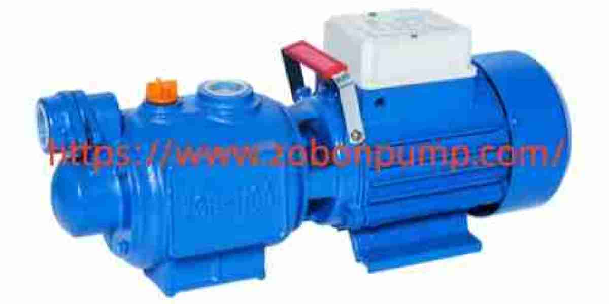 Why Should Buyers Compare Caifu Water Pumps Before Purchasing