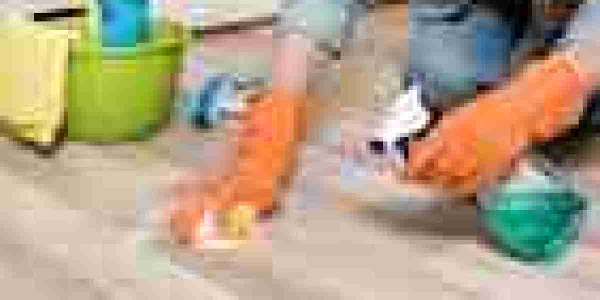 How Do You Choose the Right Commercial Cleaning Company in Tampa, FL